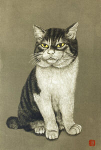 猫