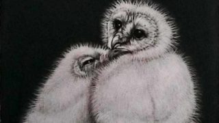 生田　明　絵 生田明 油絵 絵画」の人気商品一覧 | 安い商品を通販サイトから