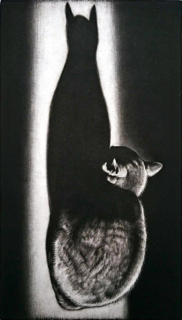 Shadow
