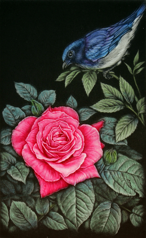青い鳥と赤い薔薇