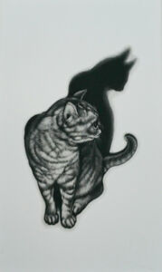 Shadow・II